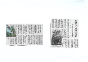 写真：お知らせ記事