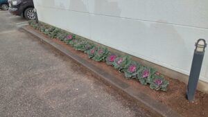 写真：お知らせ記事